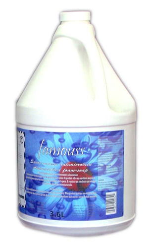 Picture of Famouss, antimicrobial foam-soap